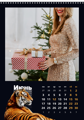 Вертикальные настенные перекидные календари - Спокойствие тигра Июнь
